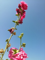 IMG_20140808_160547