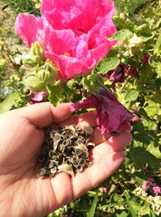 IMG_20140808_160602