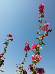 IMG_20140808_160930