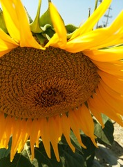 IMG_20140808_161030