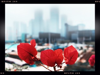 ACBECF90-3B73-4C4B-8EBD-1264B1EA763F/L0/001