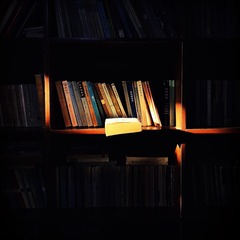 332840AE-6DB0-4B56-B998-1C1A5F14D670/L0/001