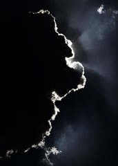 283174B1-71FA-4B9B-B7C7-91649C174C6C/L0/001