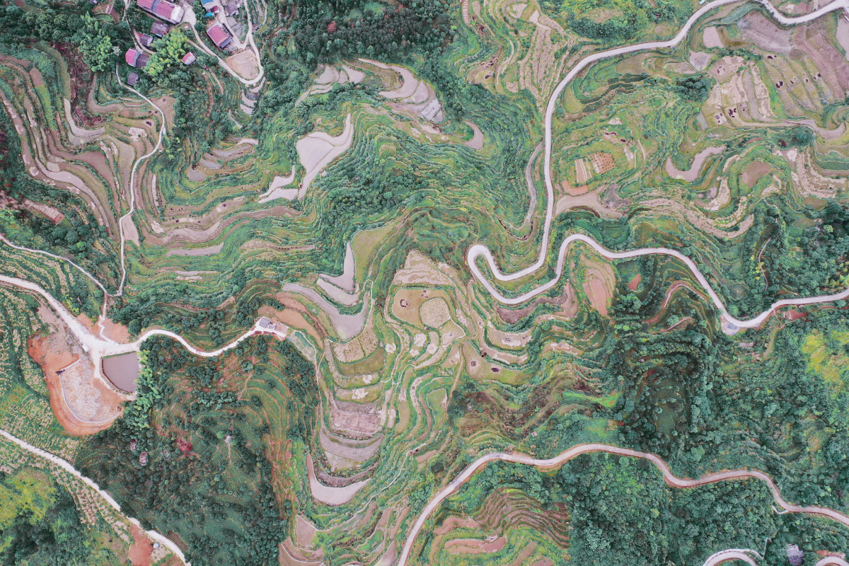 永嘉茗岙梯田俯视,只有透过云海才能看见真正的梯田