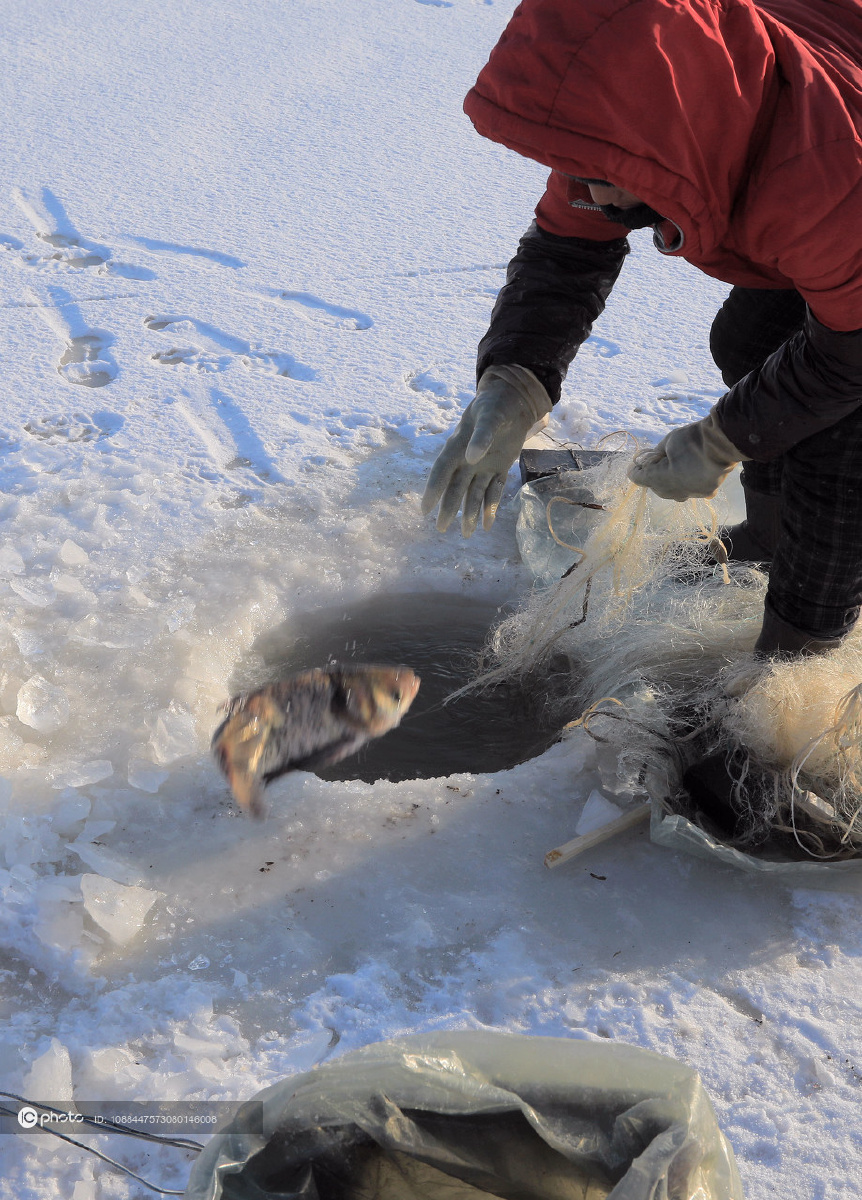 独家哈尔滨松花江上凿冰冬捕一网可捕获二三十条鱼