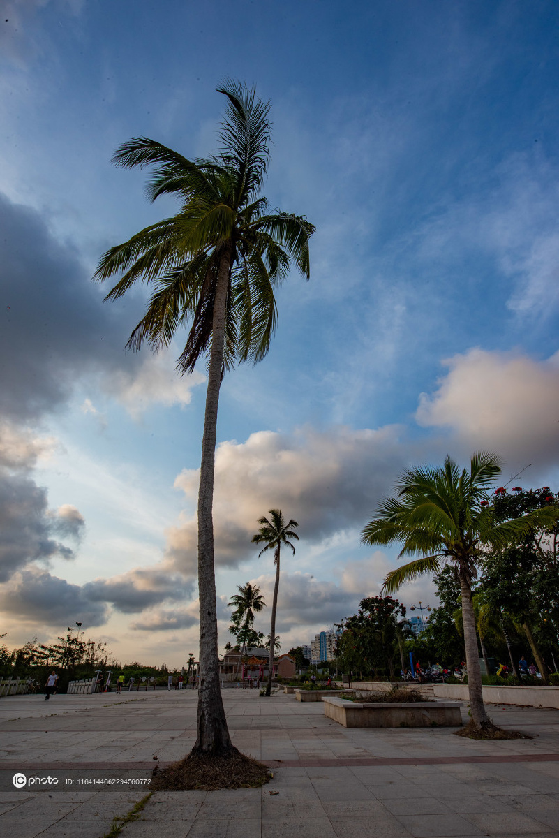 海南琼海春分时节春光美