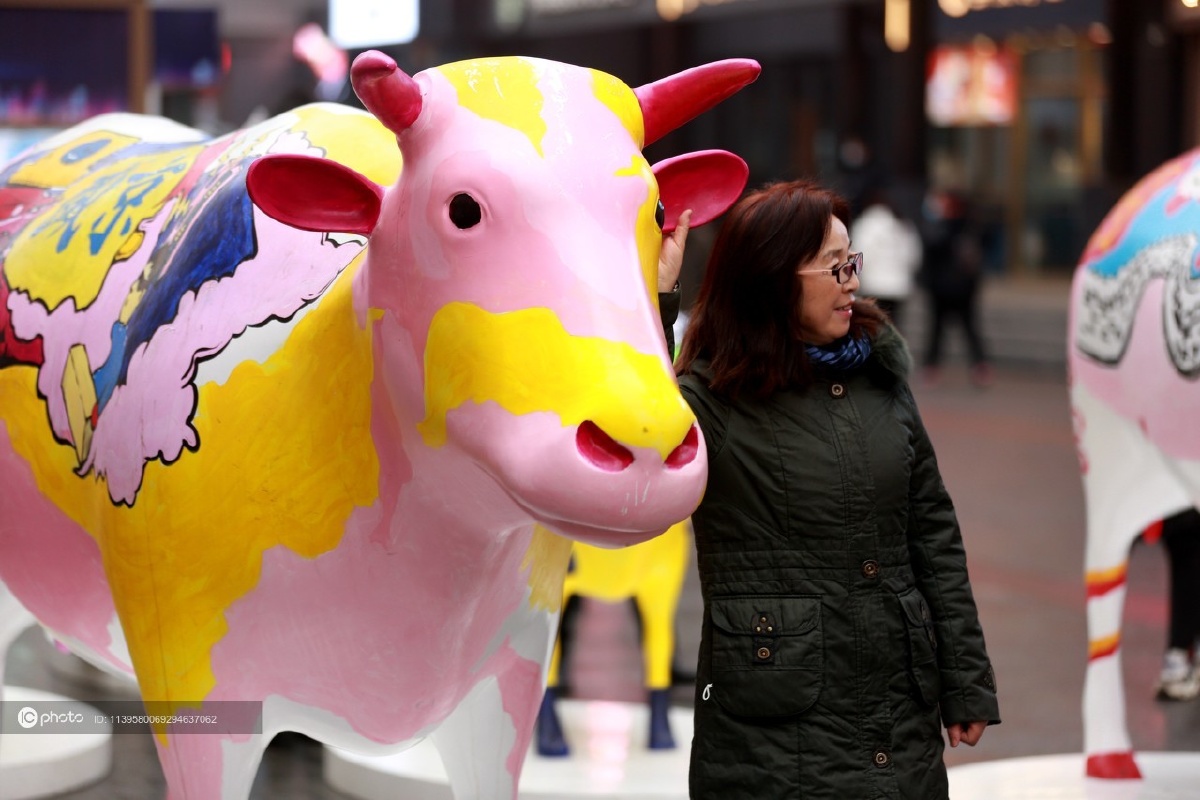 春节假期沈阳步行街游人与牛合影期盼牛转乾坤