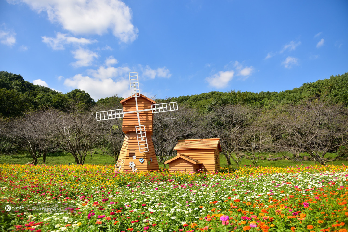 江苏苏州秋高气爽上方山植物园风景如画