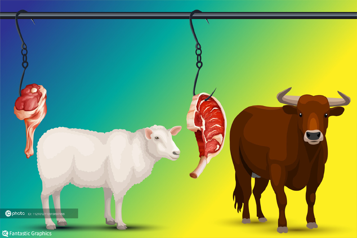 图表羊肉价格连涨7周牛羊肉每公斤超74元吃肉自由能回来吗