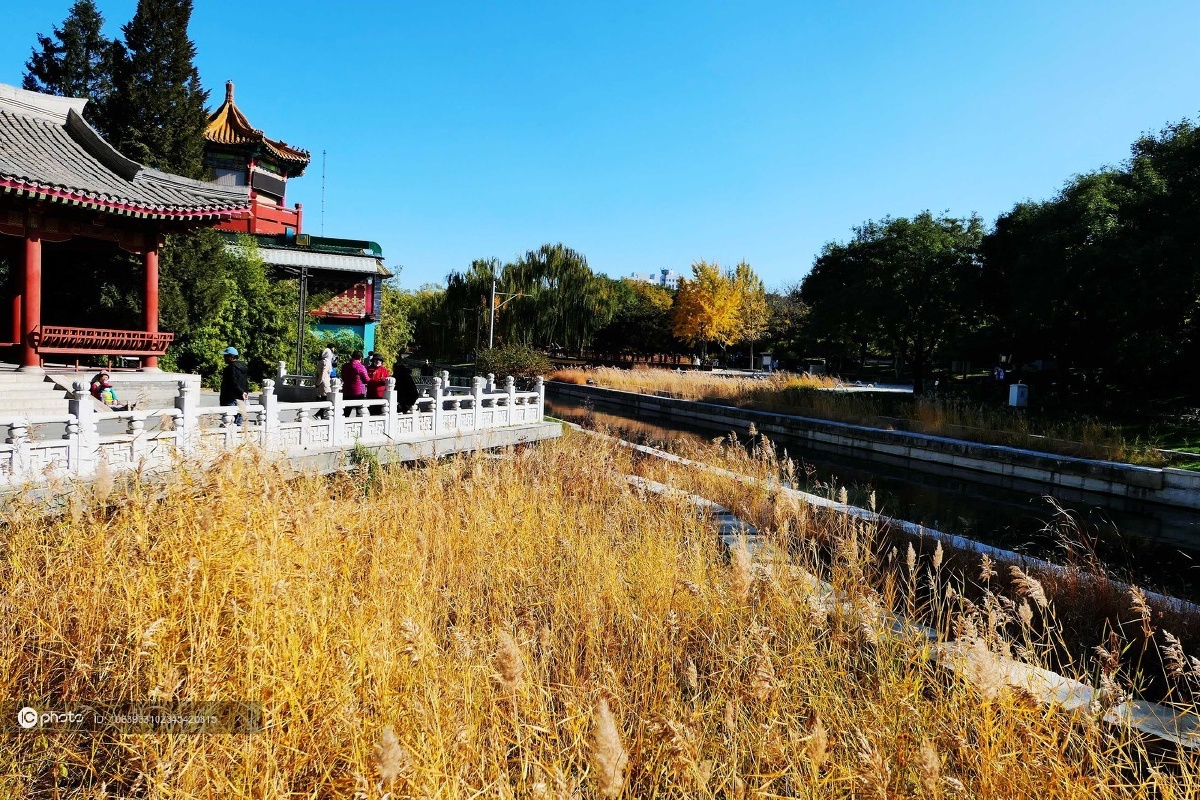 北京元大都城垣遗址公园金秋景色绚烂迷人