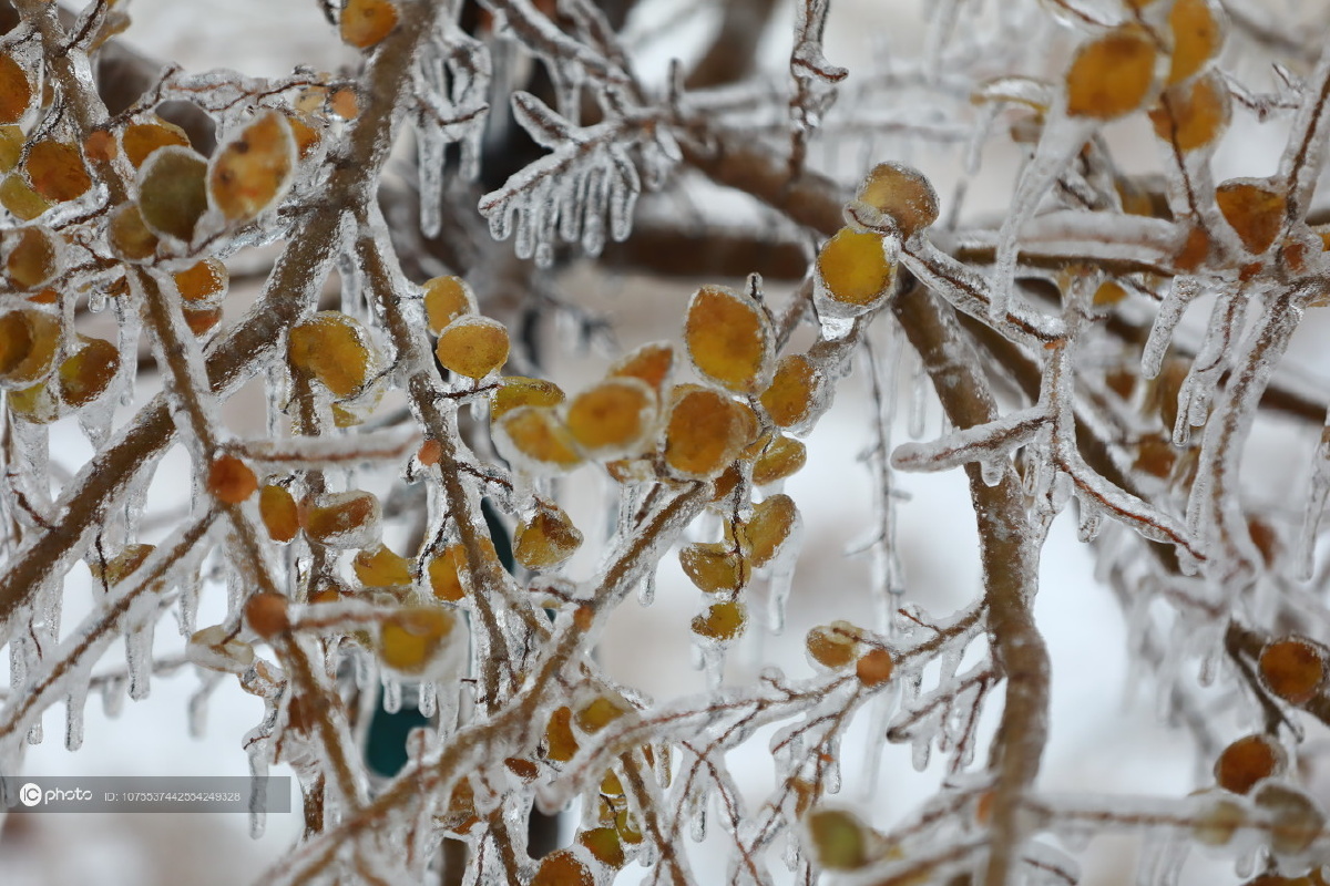 独家吉林长春雪后现冰挂美景