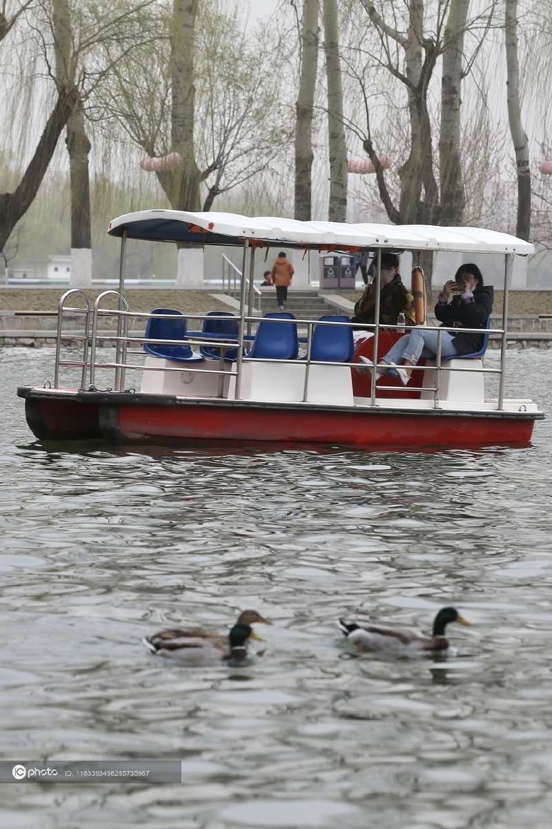 中新社北京玉渊潭公园开放游船码头