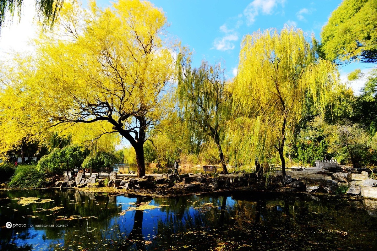 编辑推荐水木清华金秋美清华大学校园处处景色新