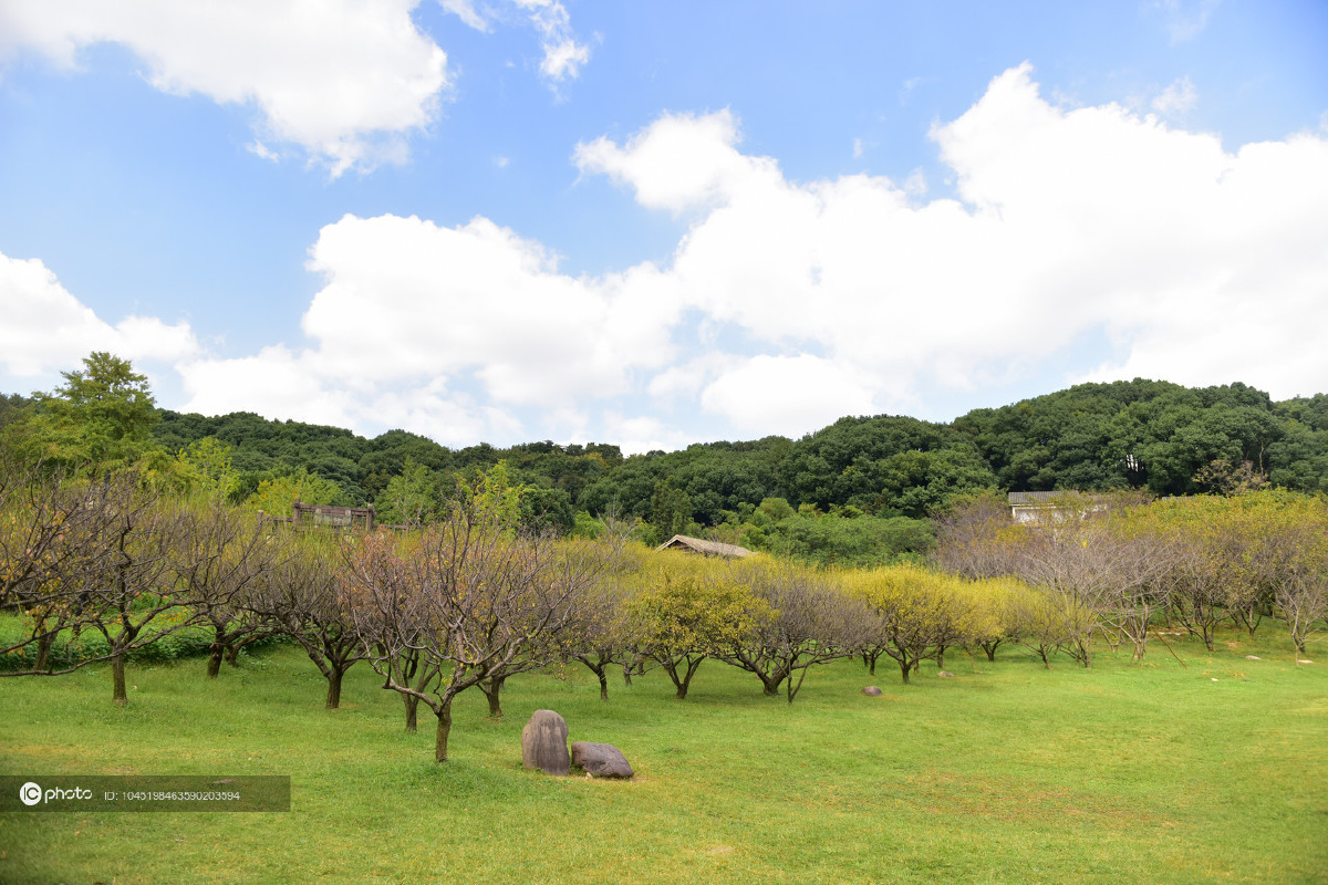 江苏苏州秋高气爽上方山植物园风景如画