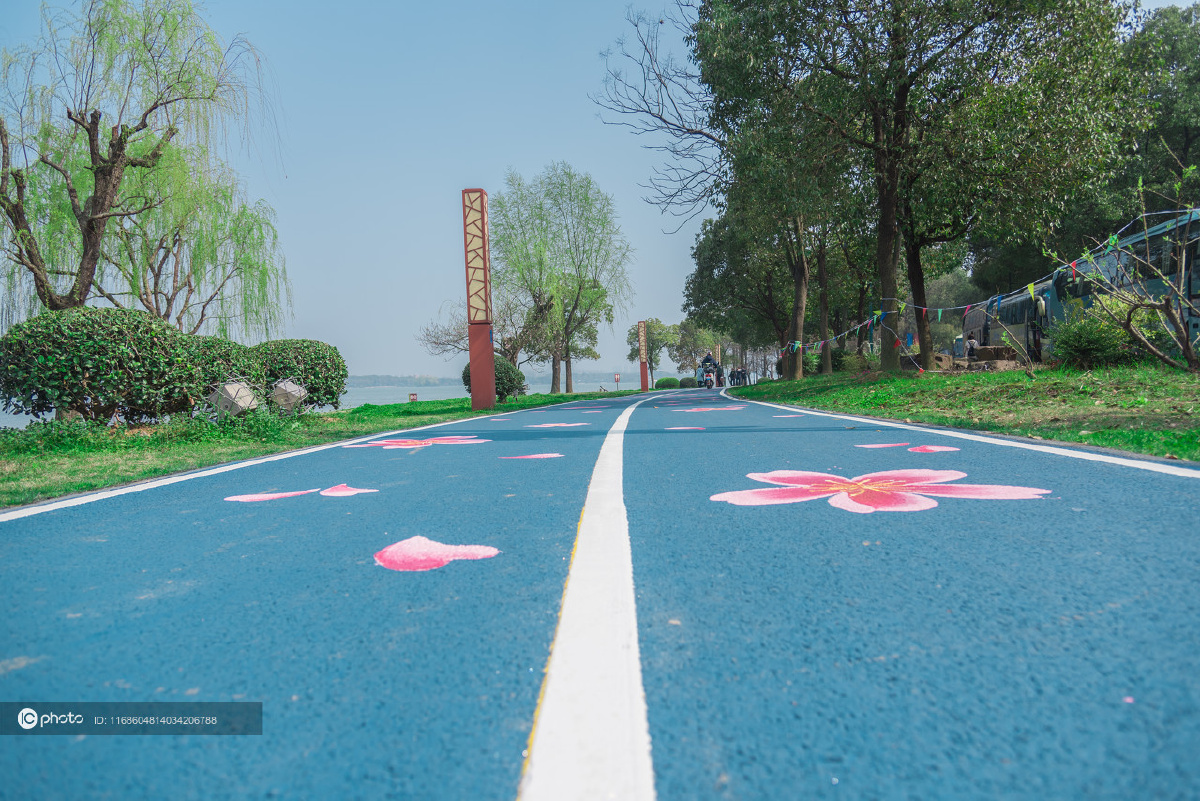 江苏无锡无锡马拉松樱花跑道焕然一新