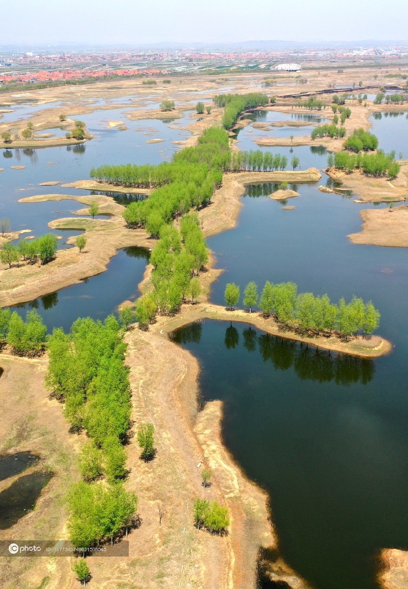 青岛大沽河即墨段沿岸绿意盎然春光美