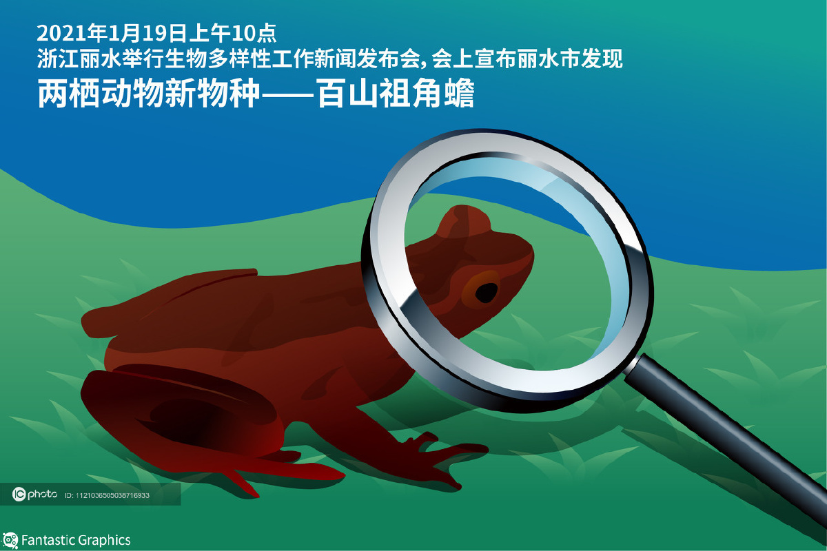 图表丽水发现全球新物种百山祖角蟾