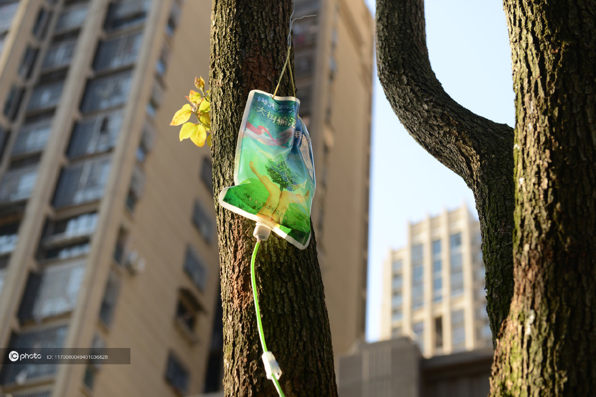 福州大树吊针输营养液