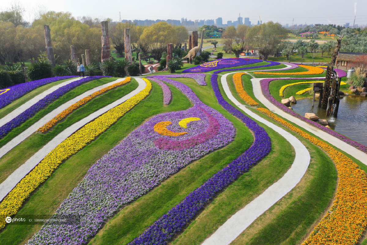 江苏南通洲际绿博园越冬花海景观新妆亮相