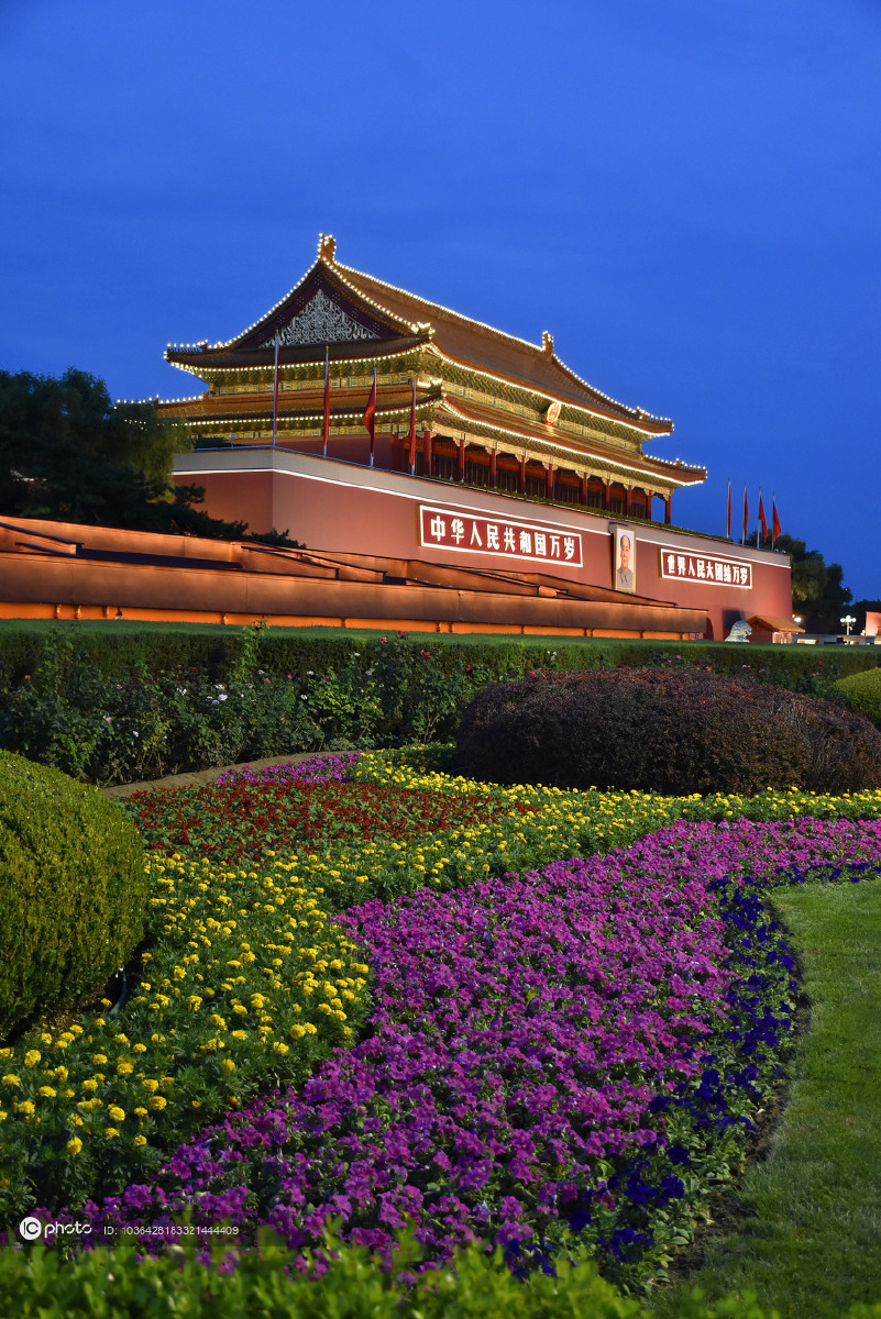 801_1200竖版 竖屏