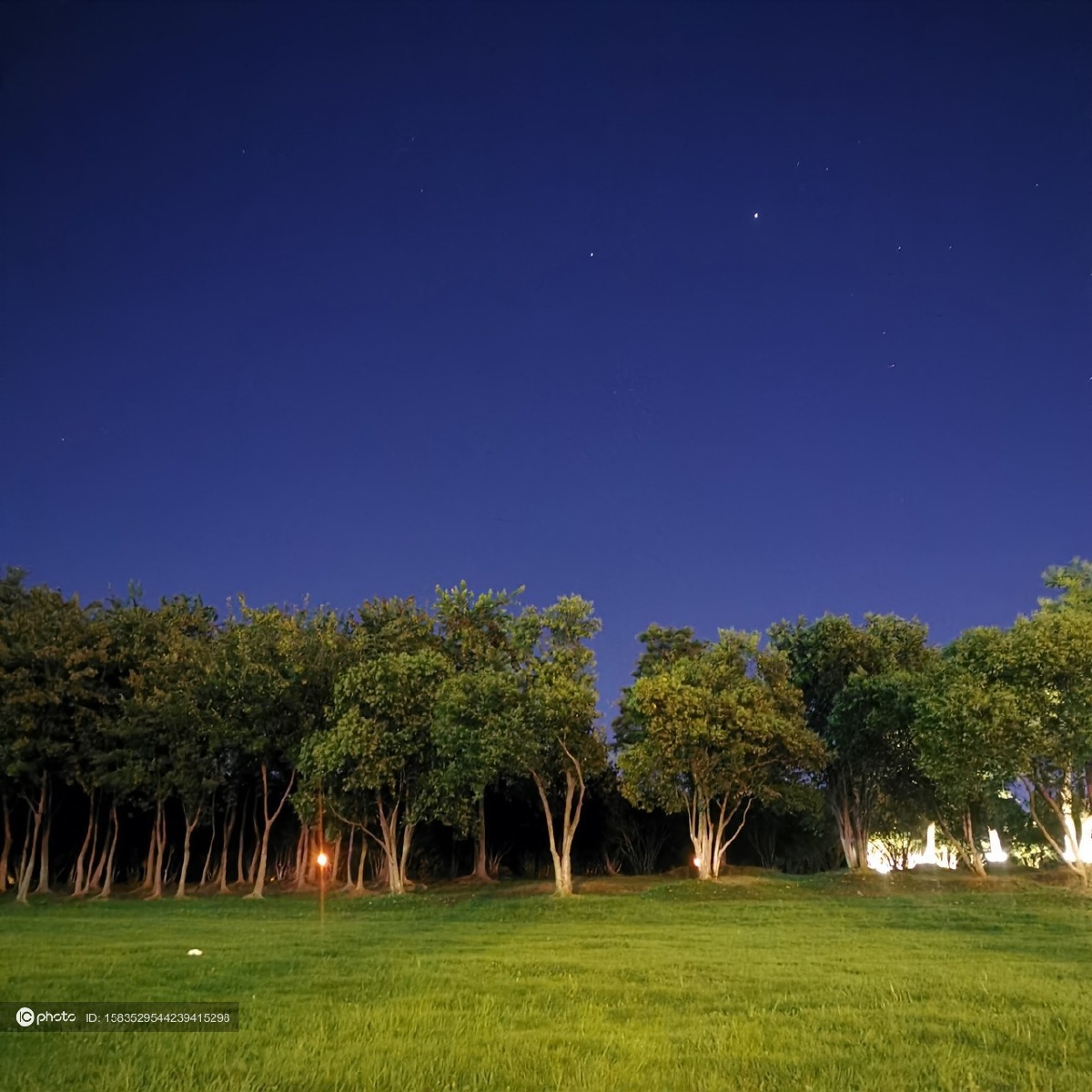 独家：夜晚公园上空纯净的天空星光点点 - IC_photo