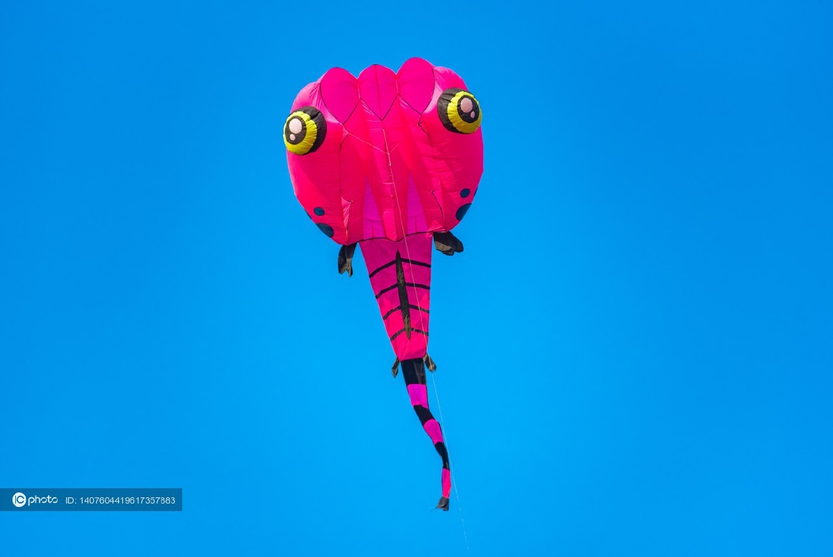 河北保定植物园上空的风筝