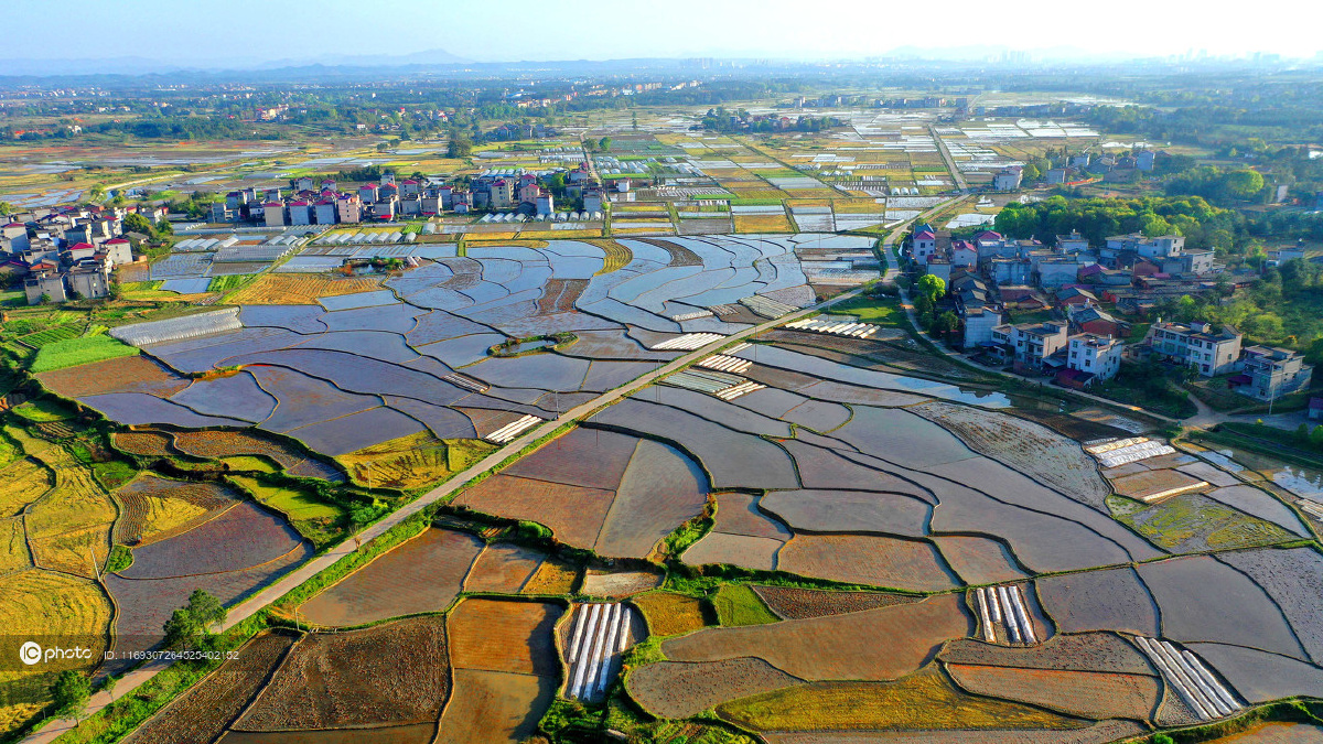 江西永丰翻耕整理后的水稻田色彩斑斓与村庄相映成景
