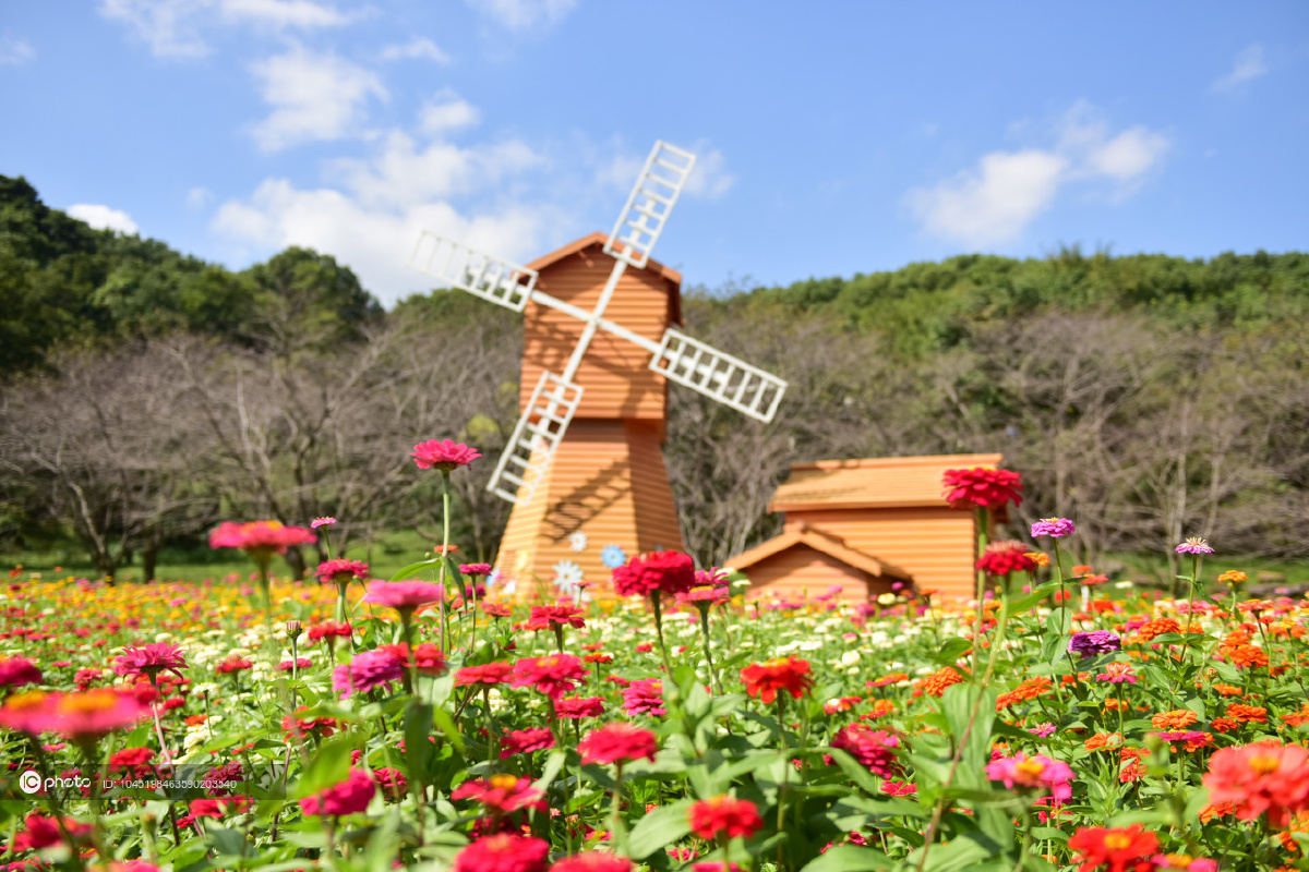 江苏苏州秋高气爽上方山植物园风景如画