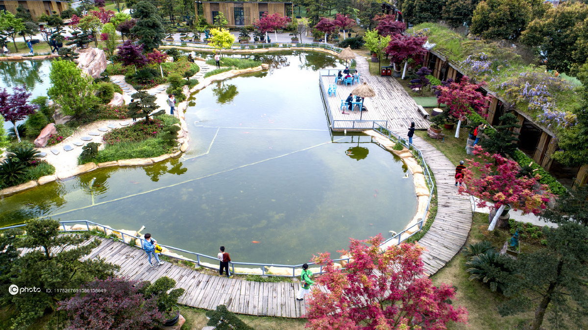 重庆沙坪坝中梁山太寺垭森林公园