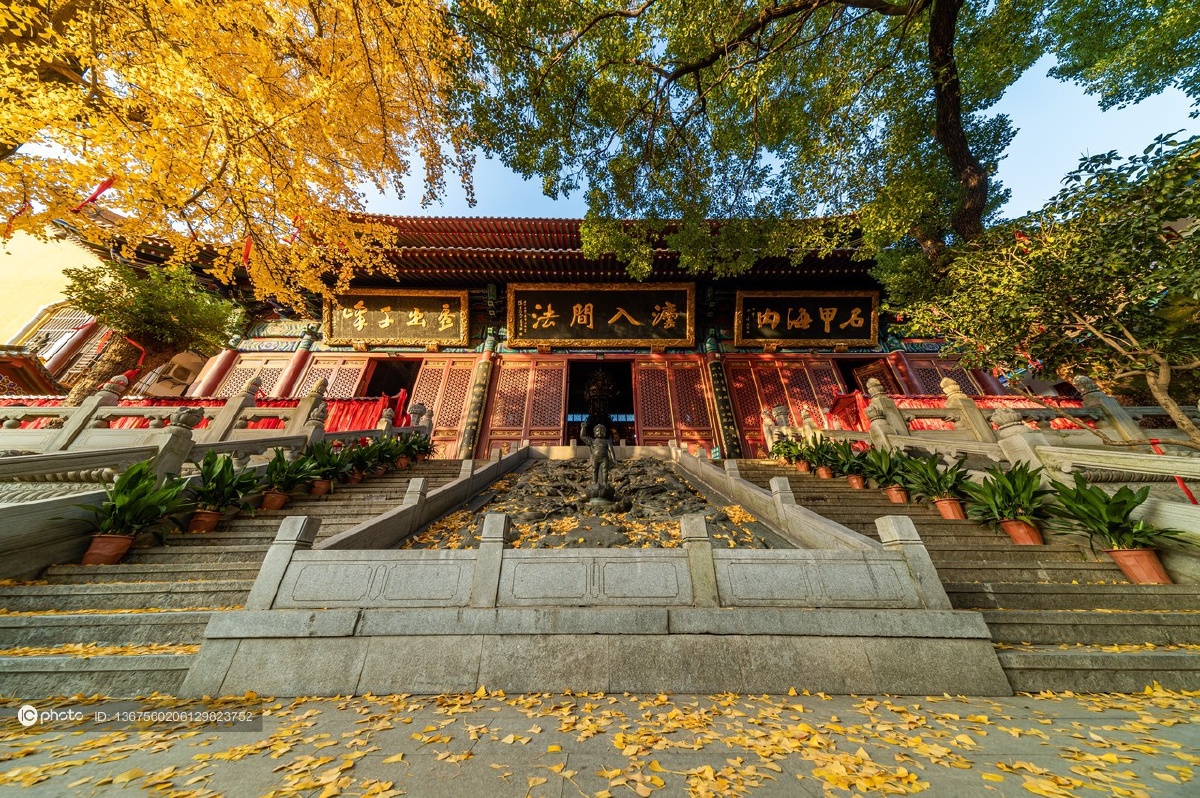 独家武汉市宝通寺的银杏黄了