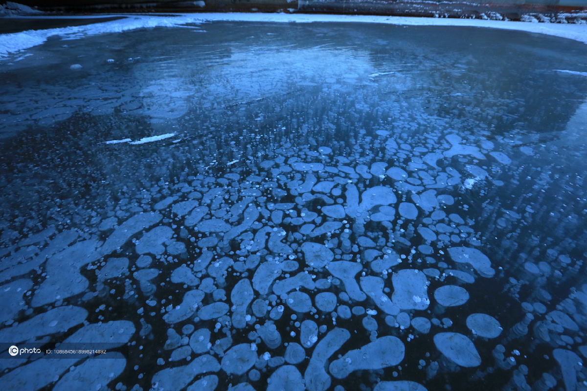 独家哈尔滨大片气泡冻在冰层下形状千奇百怪堪称奇观
