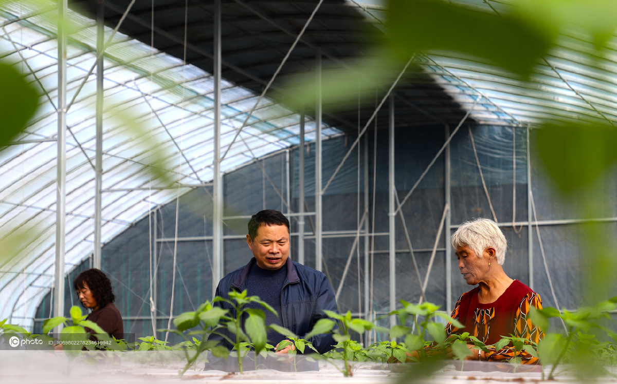 河南民权：智慧农业助脱贫 - IC_photo