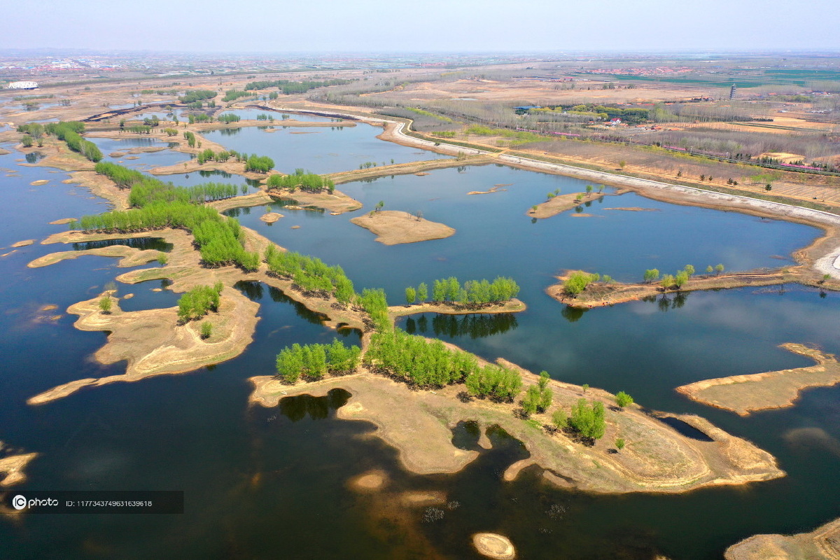 青岛大沽河即墨段沿岸绿意盎然春光美