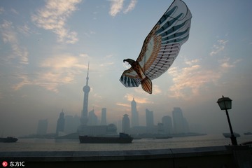 2006年，东方明珠下的上海。