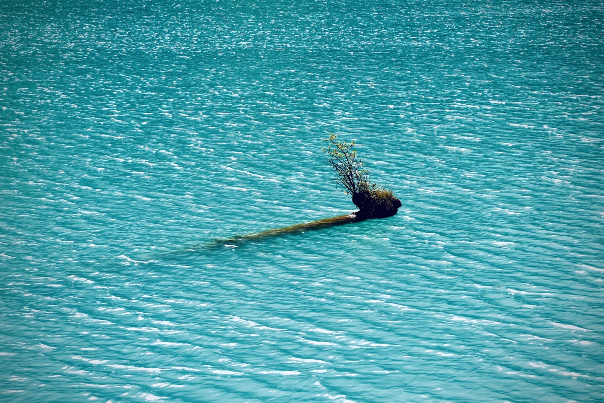 波光鳞鳞九寨沟的水清澈透亮阳光下光彩夺目奇丽迷人