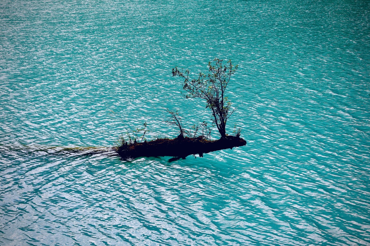 波光鳞鳞九寨沟的水清澈透亮阳光下光彩夺目奇丽迷人