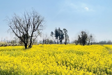 052CBDF4-7001-4D33-B05F-02ABA9703430/L0/001