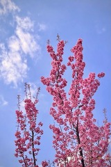 ED156050-C52D-4BDD-9D9A-AC3CD3972FC4/L0/001