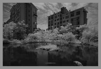 DSC_3947-编辑