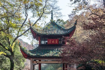 GKD_7853