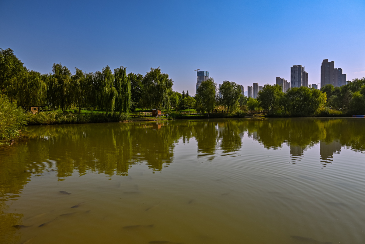 兰州银滩湿地公园美景