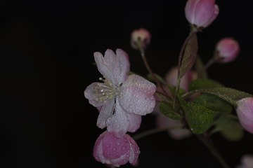 001