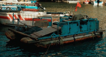 1000083361