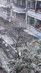 P1010723
