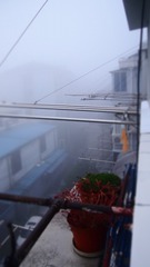P1011561