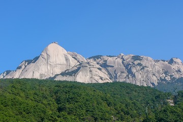 P1010692