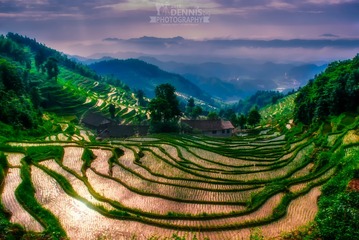 IMGP4730-编辑