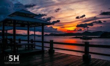 IMGP4940-编辑