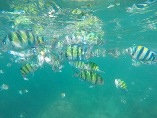 GOPR0396