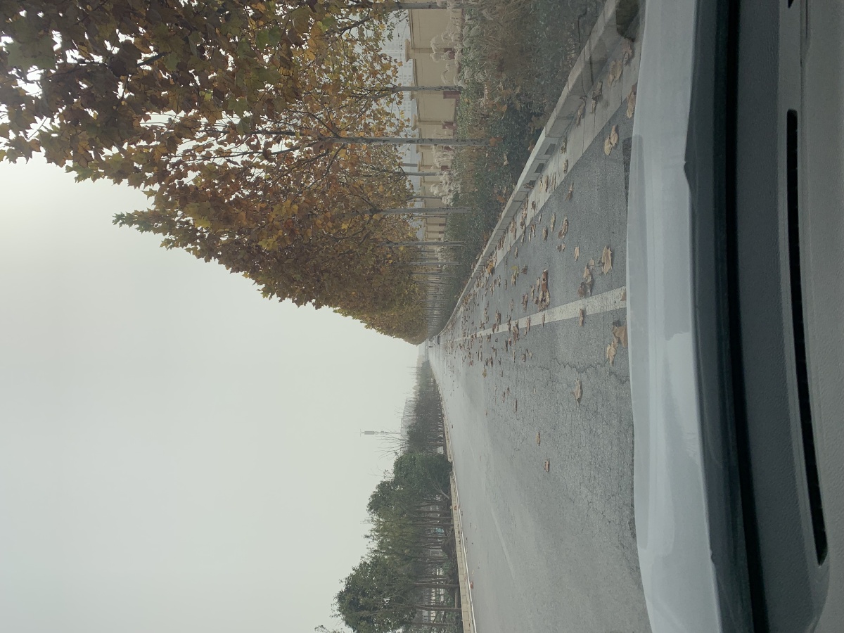 咸阳·白马河路         窗外的世界,叶落,春起.